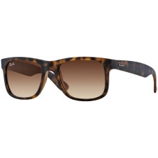 Ray BanJustin Classic RB4165 710/13