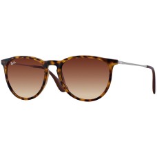 Ray BanErika Classic Havana Collection RB4171 865/13