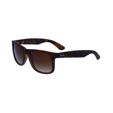 Ray Ban4165 710/13