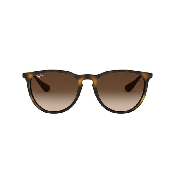 Ray BanERIKA RB4171 865/13